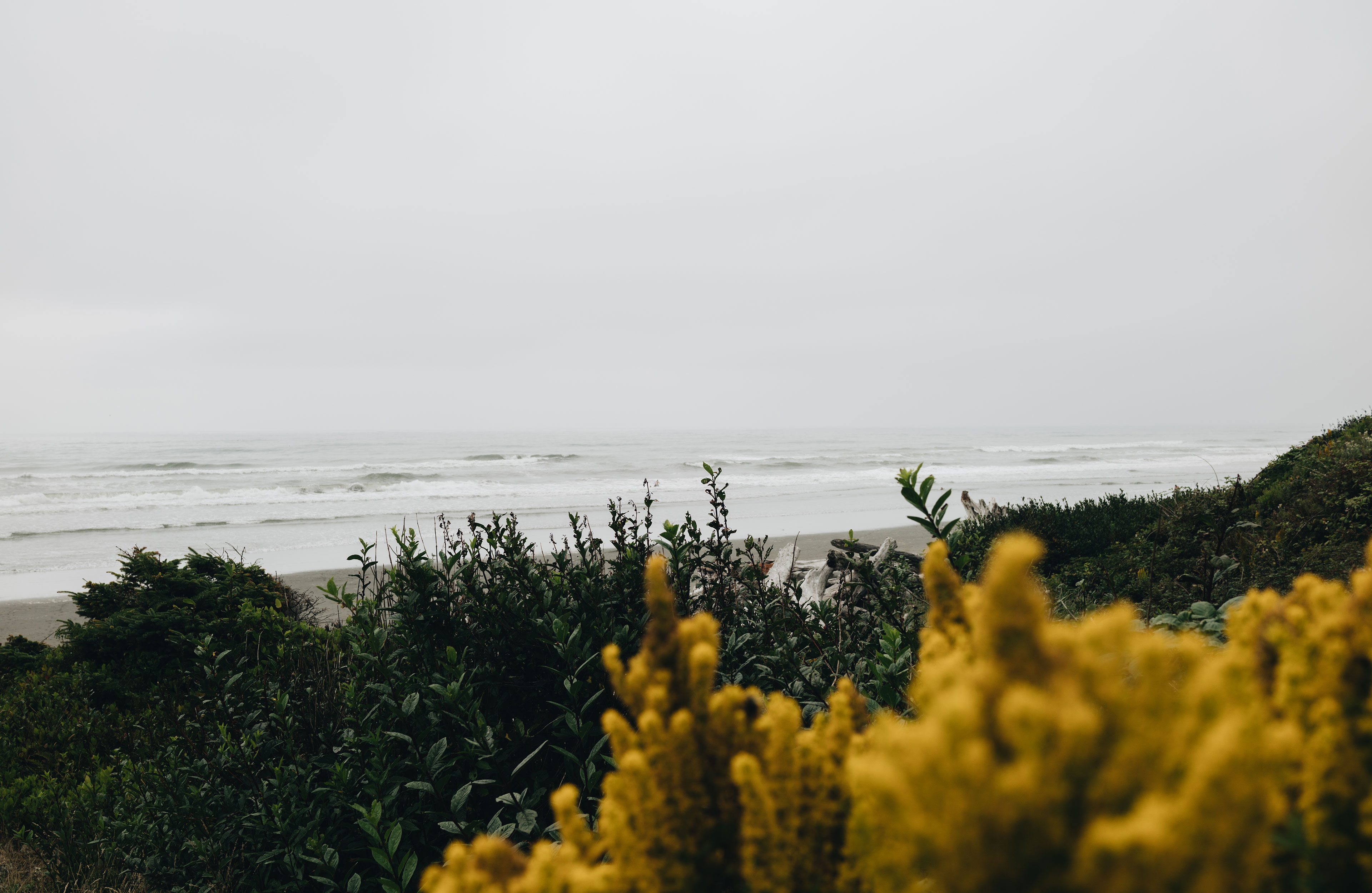 LFT-Camping2018-Beach-3840×2500