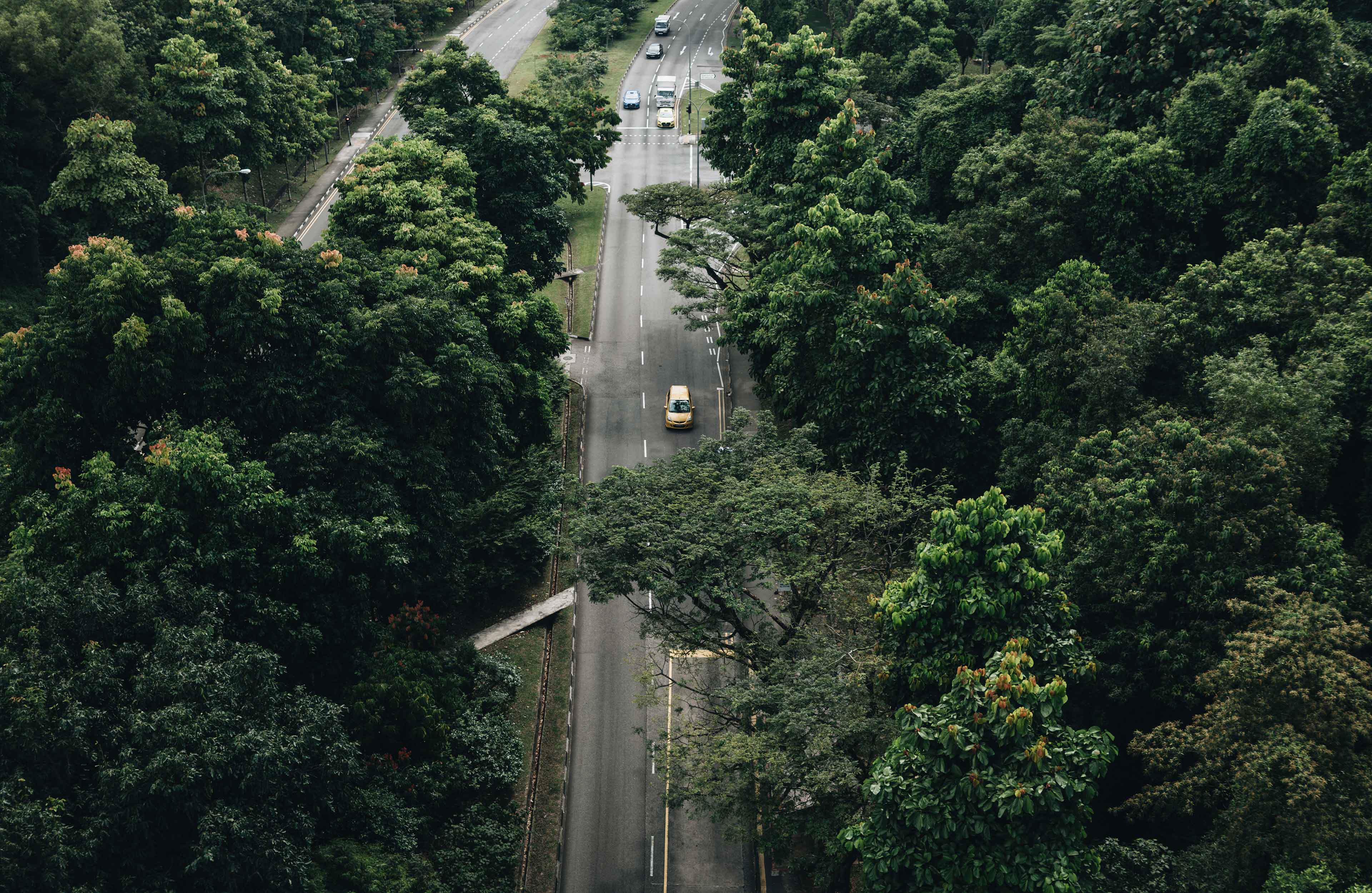LFT-Singapore-ViewFromAbove-3840×2500